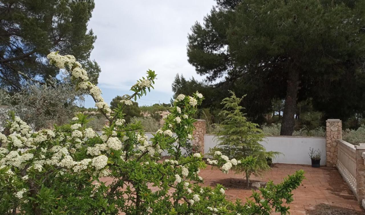 Casa De Pascual Villa Yecla Dış mekan fotoğraf